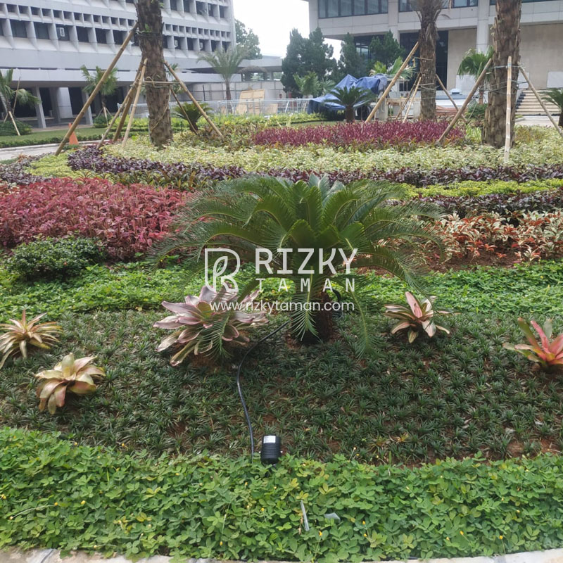 Tukang Taman Ragunan