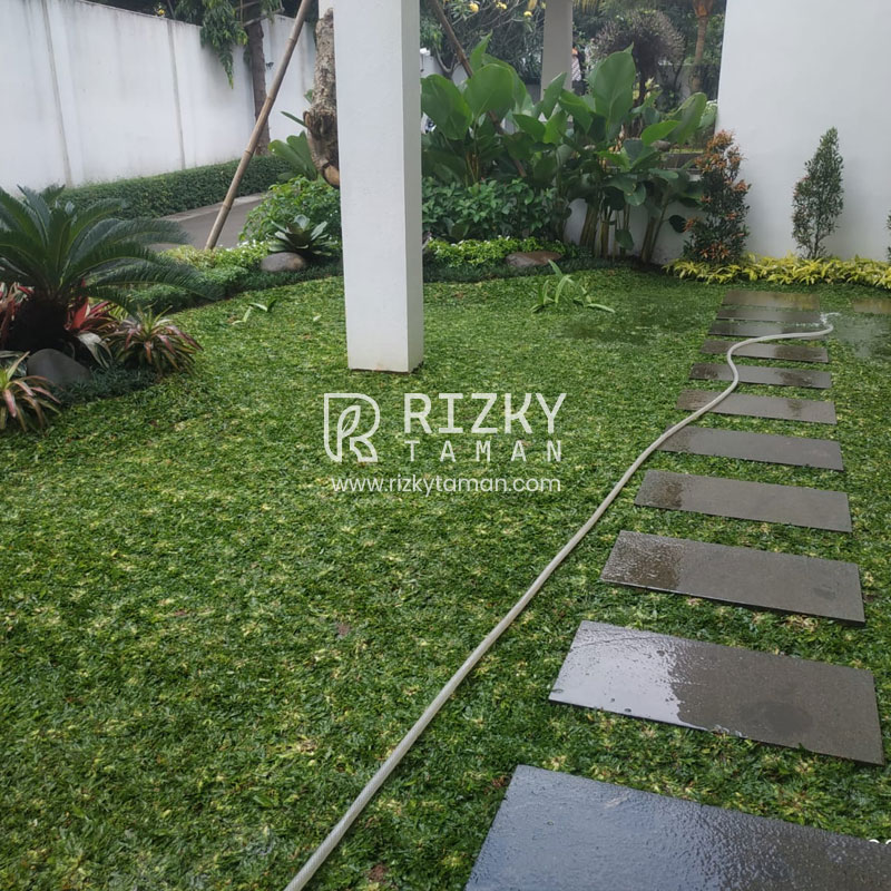 Tukang Taman Senayan