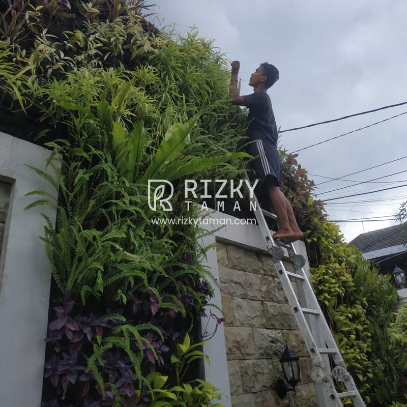 Jasa Vertical Garden Tangerang